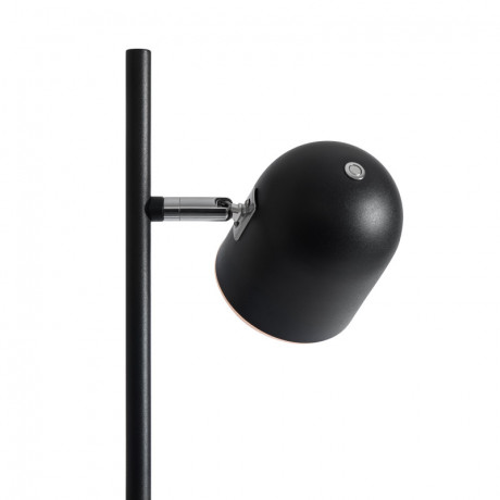 Торшер Freya FR5279FL-L7B