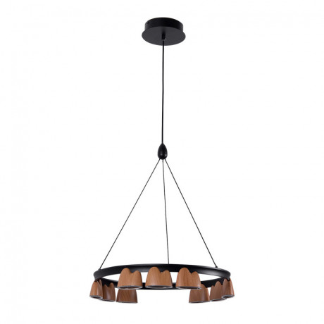 Подвесная люстра Favourite 4266-9P