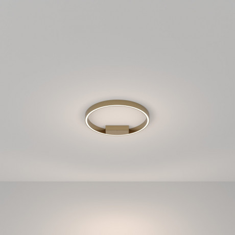 Накладной светильник Maytoni MOD058CL-L25BSK