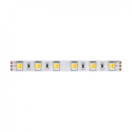 Лента Maytoni Technical 20043