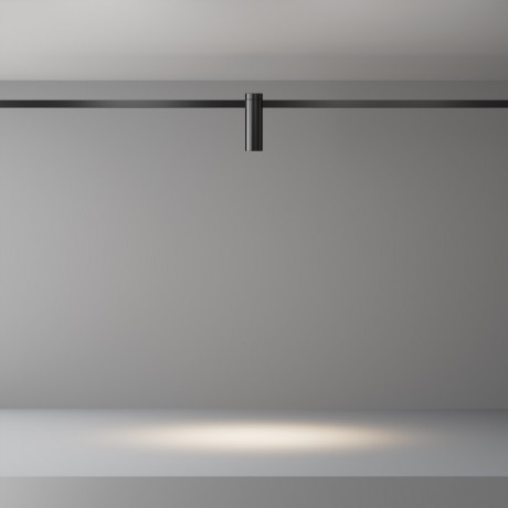 Светильник на шине Maytoni Technical TR143-1-5W4K-W-B