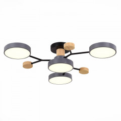 Люстра на штанге Evoluce SLE6006-702-04