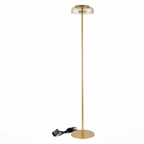 Торшер ST-Luce SL6002.205.01