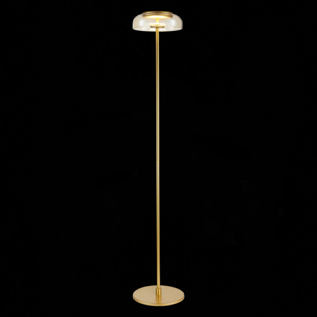 Торшер ST-Luce SL6002.205.01