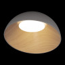 Накладной светильник LOFT IT 10197/500 Grey