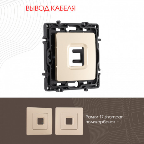 Arte Milano 217.49-1.shampan