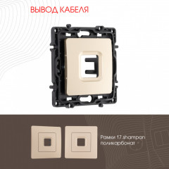 Arte Milano 217.49-1.shampan