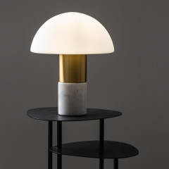 Настольная лампа Freya FR5285TL-01BS