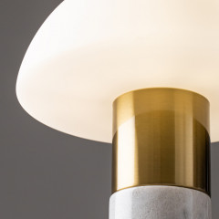 Настольная лампа Freya FR5285TL-01BS