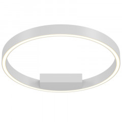 Накладной светильник Maytoni MOD058CL-L25WK