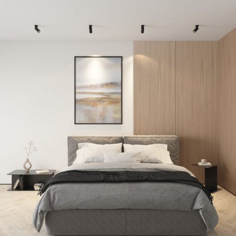 Накладной светильник Denkirs DK2029-BK