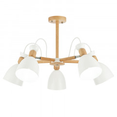 Люстра на штанге Evoluce SLE103802-05