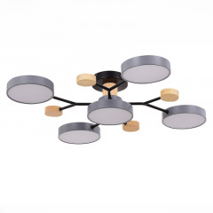 Люстра на штанге Evoluce SLE6006-702-05