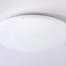 Накладной светильник Ambrella Light FZ1223