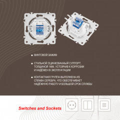 Розетка Arte Milano 202.51-1.white