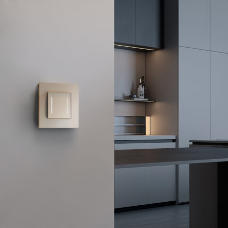 Рамка Werkel W0013111