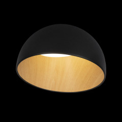 Накладной светильник LOFT IT 10197/350 Black