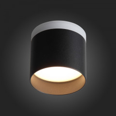 Накладной светильник ST-Luce ST102.402.12