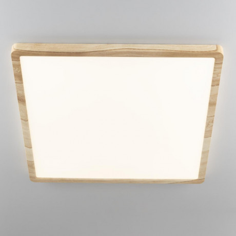 Накладной светильник Citilux CL738K502V