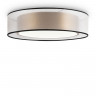 Накладной светильник Freya FR6005CL-L36G