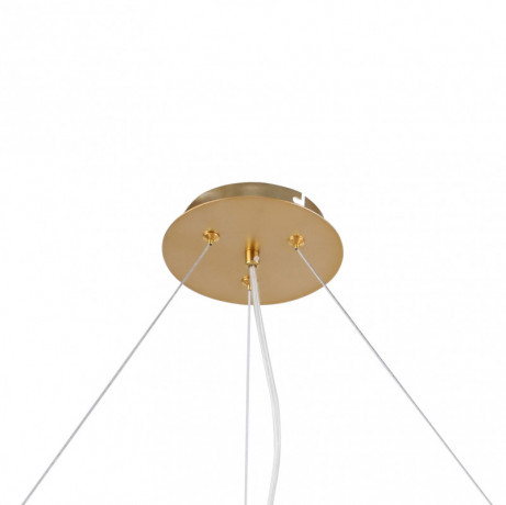 Подвесная люстра F-Promo 2771-12P