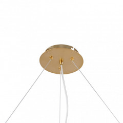 Подвесная люстра F-Promo 2771-12P