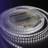 Лента DesignLed DSG3120-24-NW-33